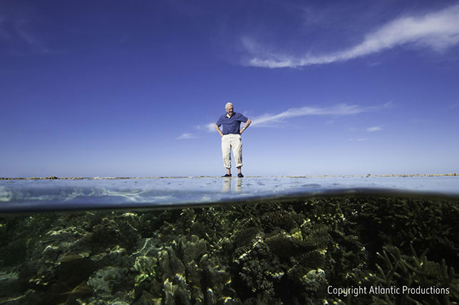 Great Barrier Reef Google Expedition